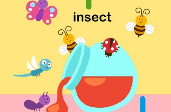 x开头的昆虫单词
,U、V、X、Y开头的动物英文.昆虫什么的也可以生物...图2