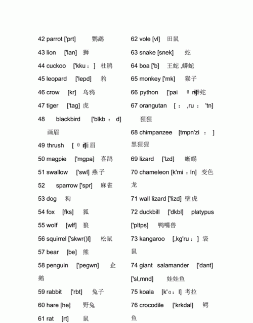 其余英语单词
,其他的英文单词和eles 意思有什么不同两百字图3