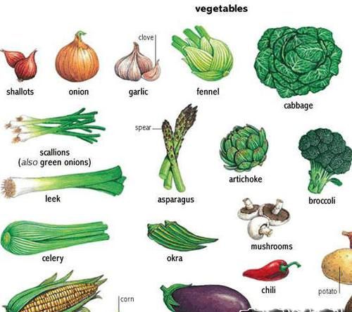 常用蔬菜英语单词大全00个
,蔬菜的英语单词有哪些图1
