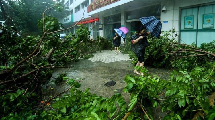 typhoon词根
,怎么样才能有效的记单词图2