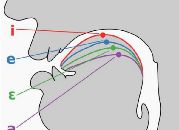 2个元音音素开头字母记忆口诀
,元音音素开头的字母图1