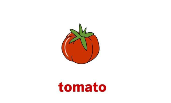 tomato怎么用
,西红柿用英语怎么读图1