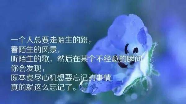 一发就会被秒赞的句子
,一发就会被秒赞的句子正能量图2