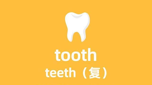 tooth什么词性
,tooth什么意思图2