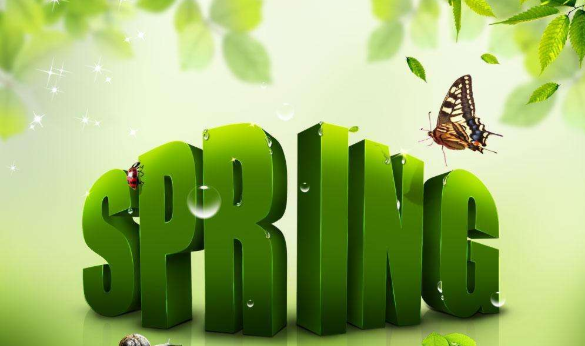 spring拼读视频
,Spring的读法图3