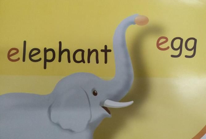 elephant拆分记忆方法
,大象英文怎么记下来图4