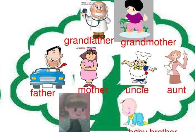 20个有关家庭成员的单词
,家庭成员的英语单词有哪些图1