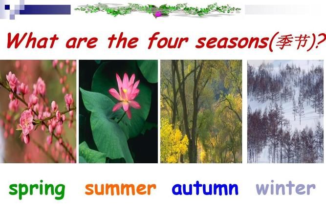 four seasons英文歌曲
,the four seasons summer音乐图4