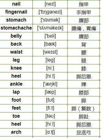 一图记3500单词
,谐音记忆高中英语3500单词图4