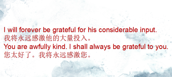 be gratitude to 还是for
,gratitude的形容词是哪个图4