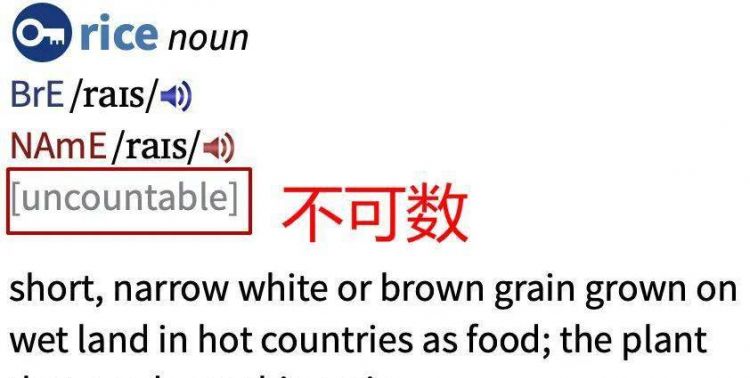 tons of food 单数还是复数
,food单复数怎么区别图2