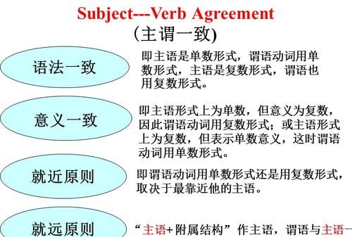 前后主谓一致省略主谓例句
,主谓一致的例句带翻译图1