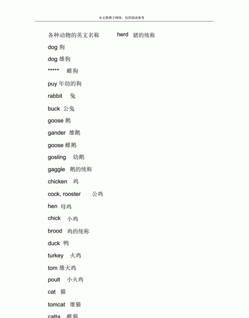 500种动物名称大全英语
,关于动物类的单词图3