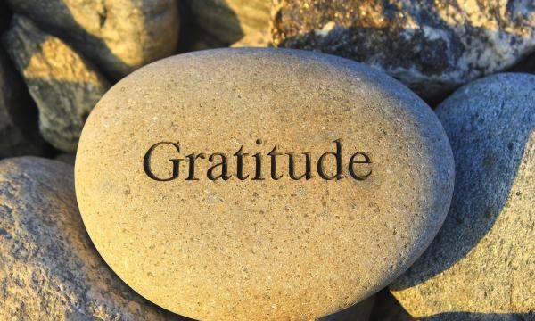 gratitude
,gratitude是什么意思中文图2