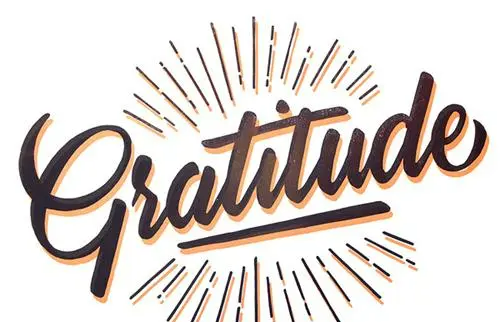 gratitude
,gratitude是什么意思中文图3