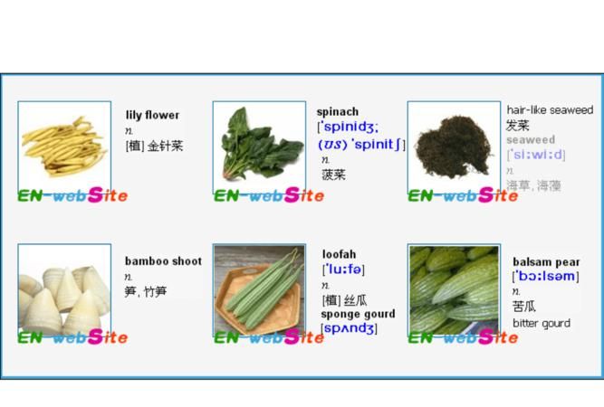 30个蔬菜英文名
,各种水果的英文名称怎么说?图13