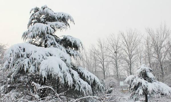 冬天的英语怎么读winter,冬天英语怎么读图4