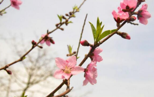 3月简写 英语
,三月的英语缩写图4