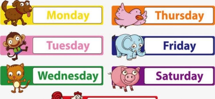 从星期一到星期日的英语读法
,星期一到星期日的英文语音怎么读图1