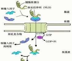 十大翻译方法
,句子解释翻译器图4