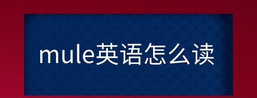 令的英语怎么读
,达令英文怎么说图2