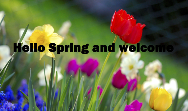 spring的发音技巧
,春天英语怎么读spring图1