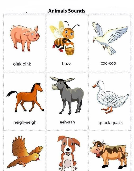 35种动物叫声的词语英语
,25种动物叫声用英语怎么说写图2
