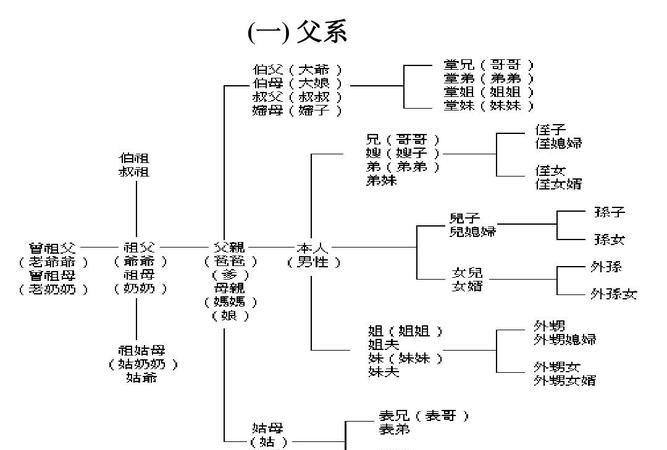 各种亲戚关系称呼英语
,英语里亲戚称呼汇总图3