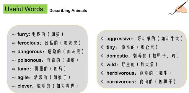 动物板块常见英语词汇
,各种动物的英语单词有哪些?图1