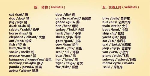 动物英语单词大全带音标
,英文动物名称大全带读音图1