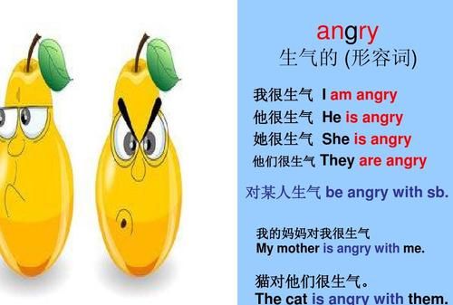 使某人生气的英语短语
,对某人生气的mad和angry短语列举图3