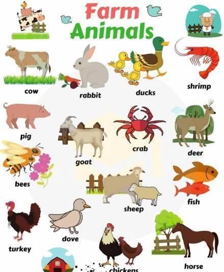 各国代表性动物英文名称
,各国代表的动物英文图1