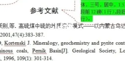 中国药典2020版论文引用格式
,文献引用格式是什么意思图3