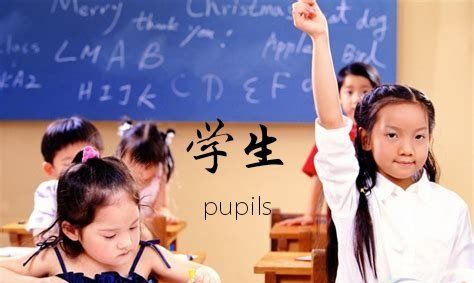 学生怎么都用英语pupil
,学生怎么读用英语图2