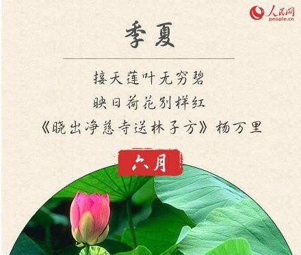 七月到明年三月是几个月,2月到8月相隔几个月图2