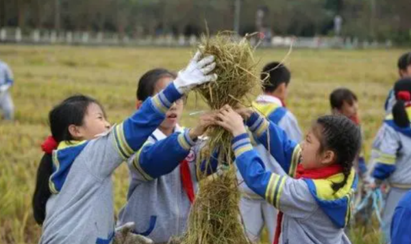 实施劳动教育英语
,劳动技术三生教育的英语怎么说图4