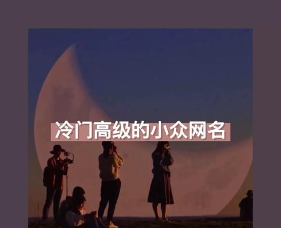 冷门且高级的网名
,高级感冷门女网名图2