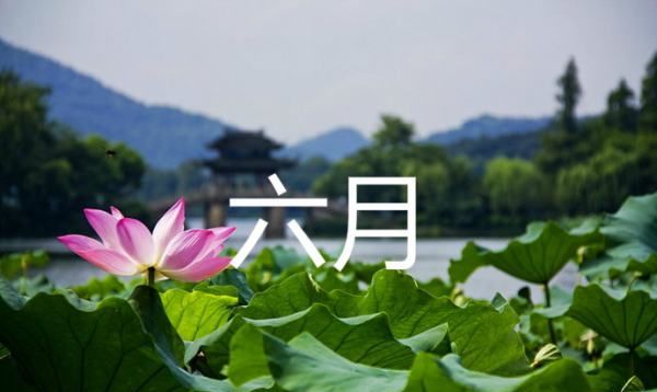 六月的英文,六月的英文缩写图1