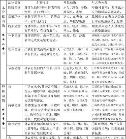 动物类群分类思维导图
,四年级下册数学第一单元思维导图怎么画图1