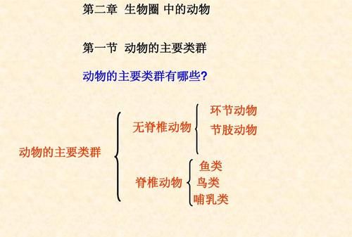 动物类群分类思维导图
,四年级下册数学第一单元思维导图怎么画图3