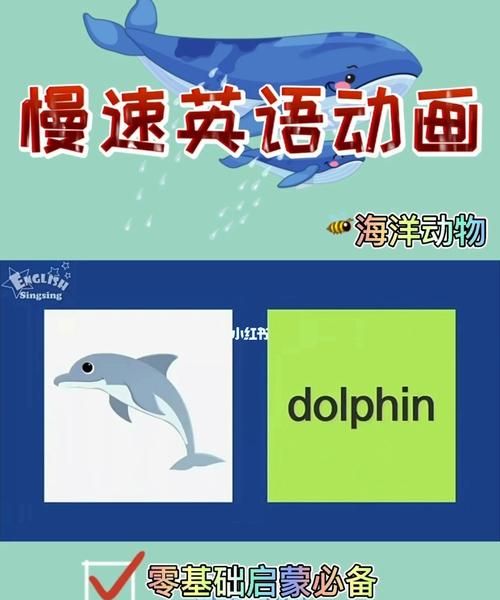 幼儿英语海洋动物
,海洋动物的英文单词有哪些图1