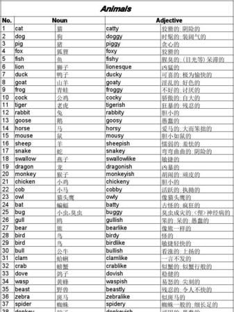 8个外貌类形容词英语
,既是形容词也是副词的英语单词图2