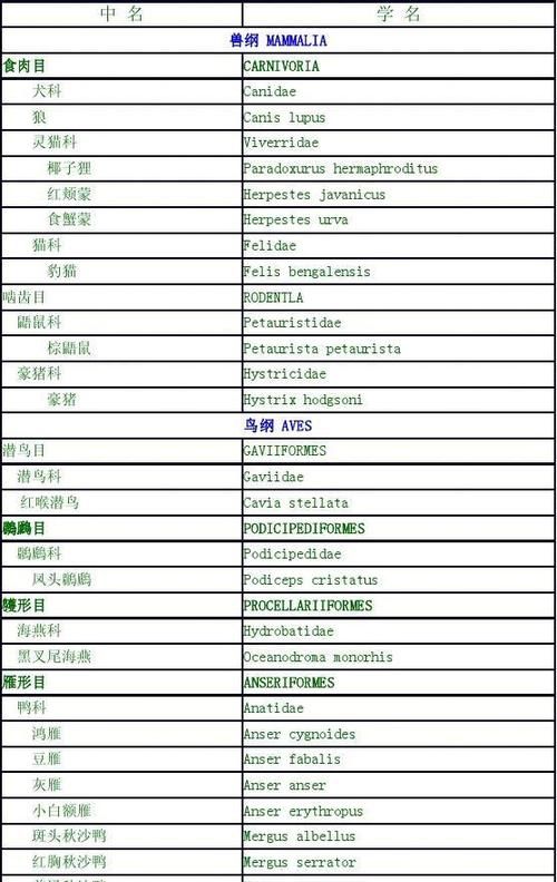 常见陆地动物英文
,陆地动物的英语怎么写图2