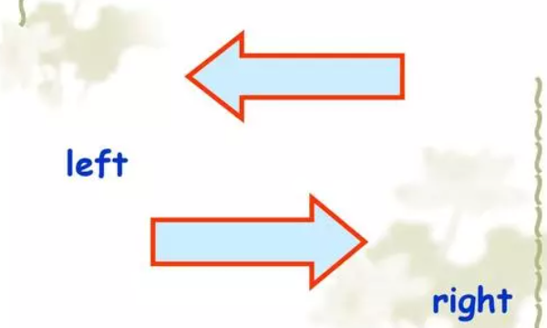 左右的英文怎么写
,左右的英文缩写,哪个是左哪个是右图4