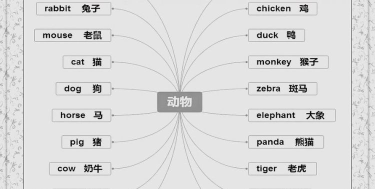 各种小动物的英语单词
,动物英语单词大全100个图4