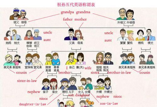 家庭成员单词分类
,五个表示家庭成员的单词图2