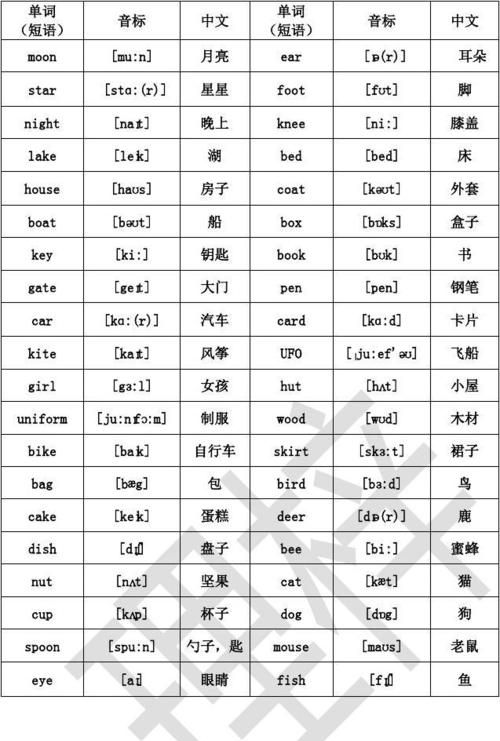 初一小学必背单词3000
,初一下册必背单词图4