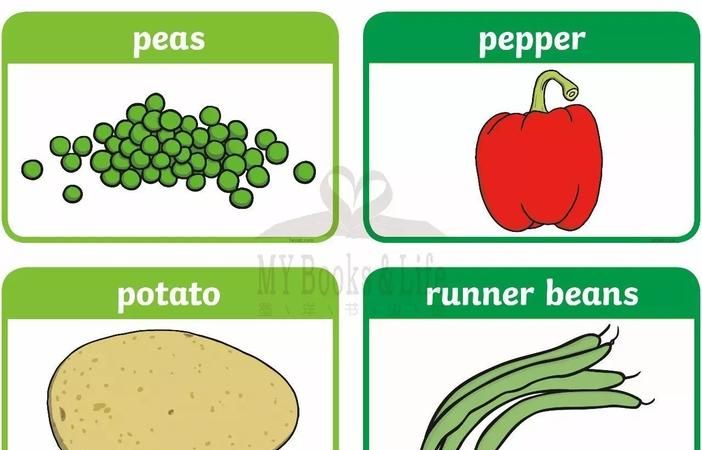 不可数的蔬菜的英文00个
,不可数的蔬菜英文有哪些图3
