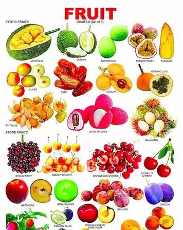 好听水果英文名字
,水果大全500种名字图1