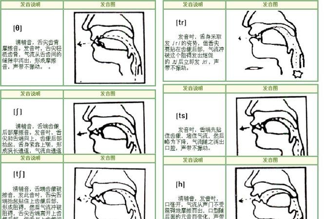 e的发音口型,英语音标中梅花音ae与e的发音区别图4